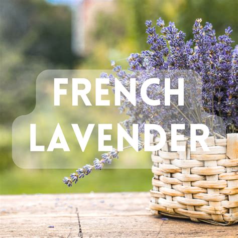 best budget french lavender perfumes.